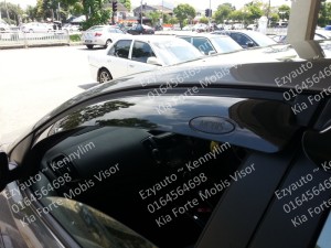 F38-Forte mobis door visor 1
