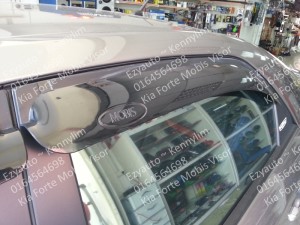F38-Forte mobis door visor 2