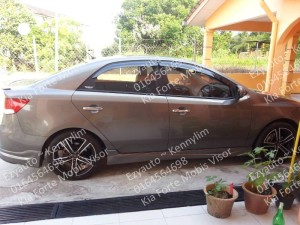 F38-Forte mobis door visor 5