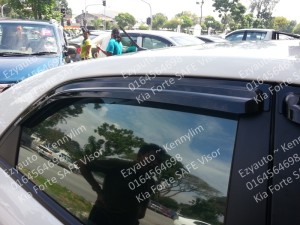 F50-Forte safe door visor 2