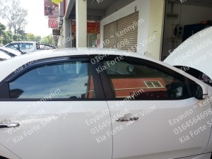 F50-Forte safe door visor 4