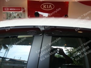 R02-Rio mobis door visor 5