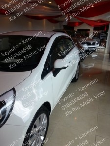 R02-Rio mobis door visor 7