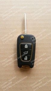 key casing black gold_1
