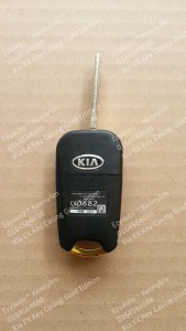 key casing black gold_2