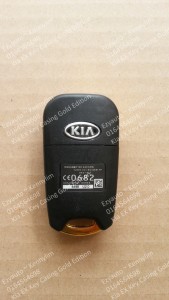 key casing black gold_6