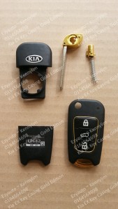 key casing black gold_8