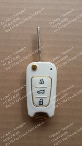 key casing white gold_1