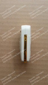 key casing white gold_5