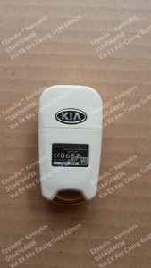 key casing white gold_6