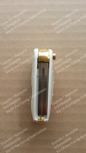 key casing white gold_7