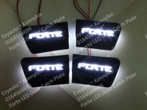 F48-Forte LED Door Catch Plate 32