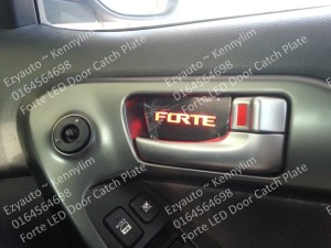 F48-Forte LED Door Catch Plate 42