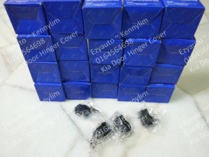 Kia Door Hinge Cover_1