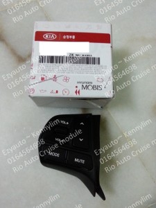 Rio Auto Cruise module_22