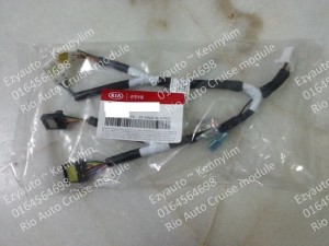 Rio Auto Cruise module_32