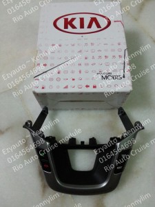 Rio Auto Cruise module_52