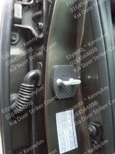 door striker cover carbon_12
