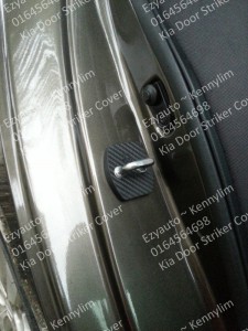 door striker cover carbon_22